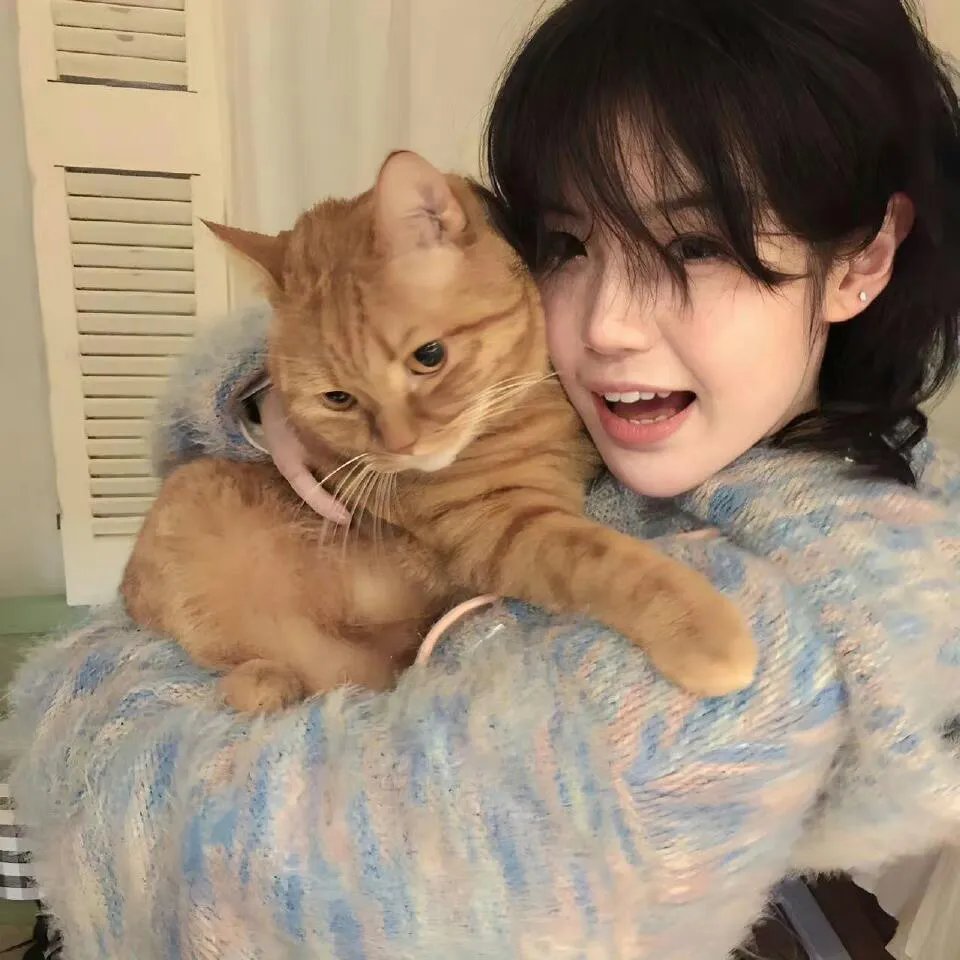 重生退婚妻 动态漫画